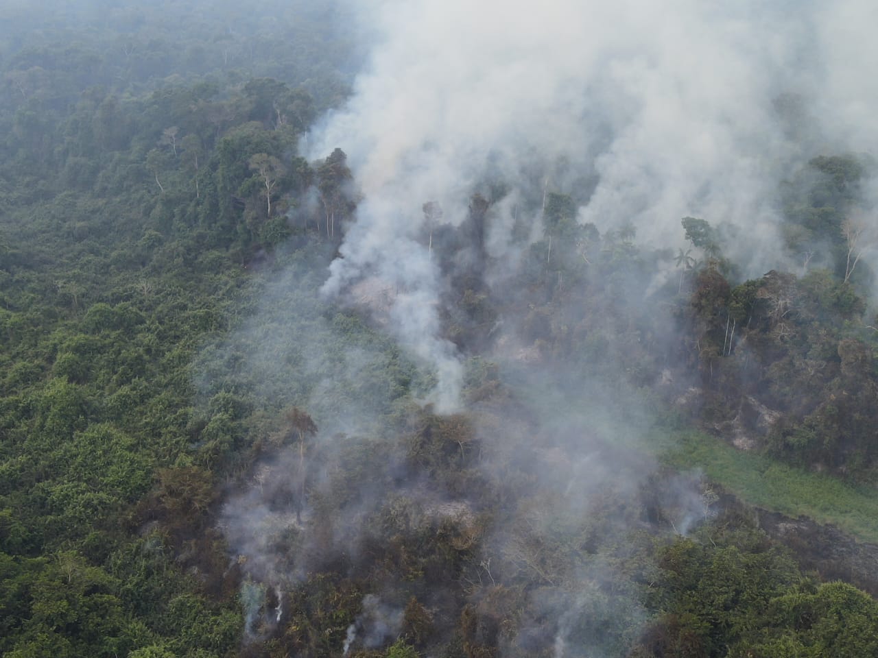 Lluvias Ayudan A Mitigar Las Llamas Pero Persisten Los Incendios Forestales Gobernación 6661