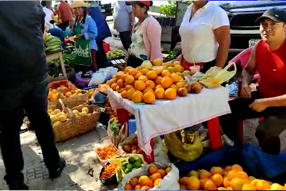 Productores de El Torno se lucen en la Feria de los C tricos